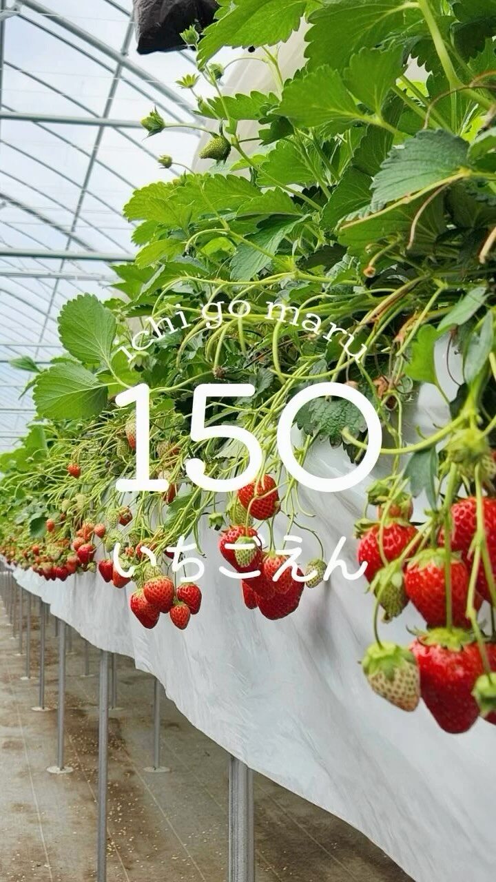 Instagram post from 150ichigoen. This post is in position 0.