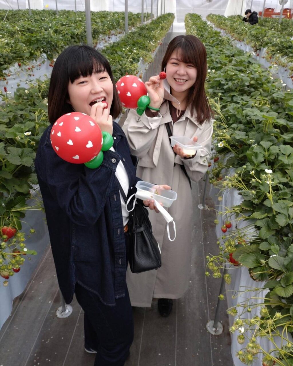 Instagram post from 150ichigoen. This post is in position 5.