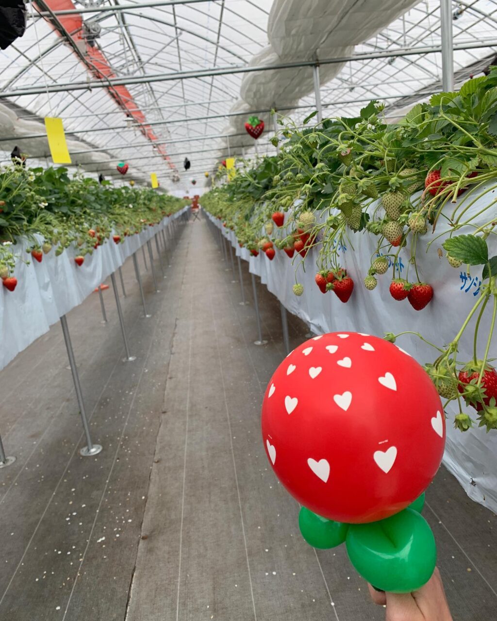 Instagram post from 150ichigoen. This post is in position 0.