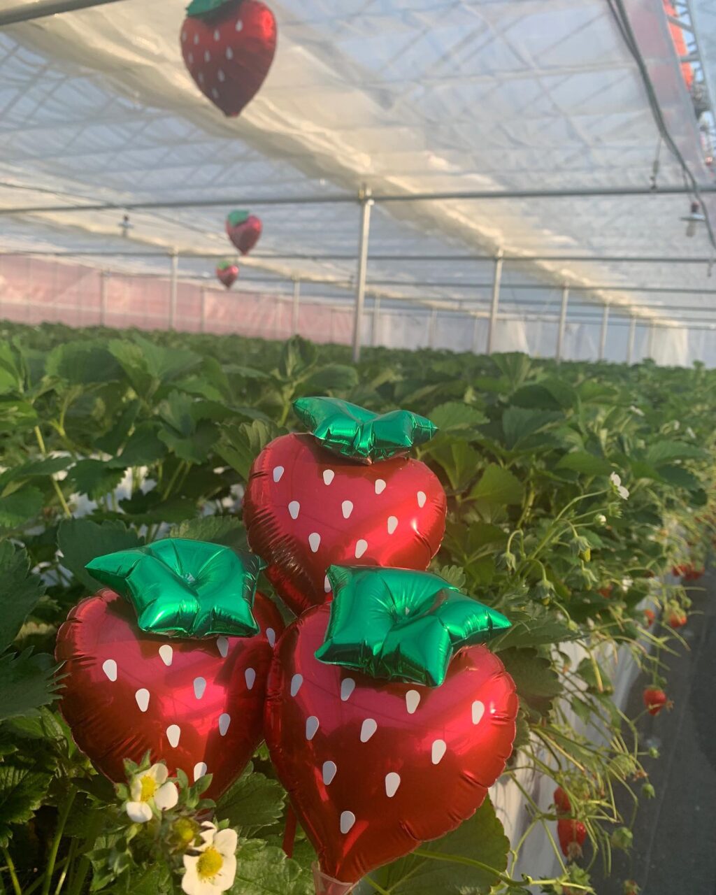 Instagram post from 150ichigoen. This post is in position 0.