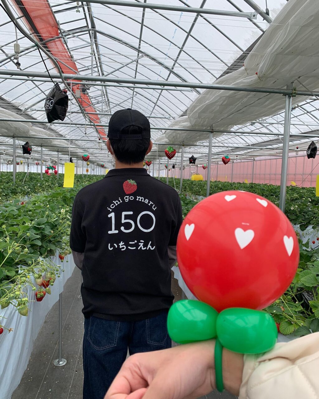 Instagram post from 150ichigoen. This post is in position 1.