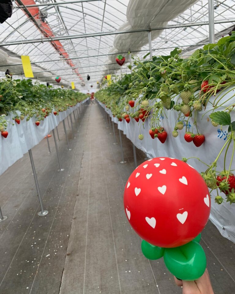 Instagram post from 150ichigoen. This post is in position 2.