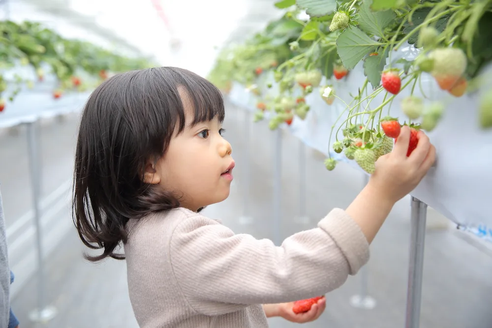 0128_鈴木農園_53